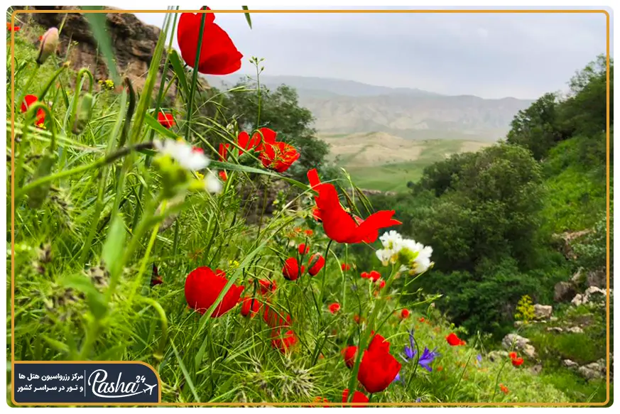 پوشش گیاهی شمخال