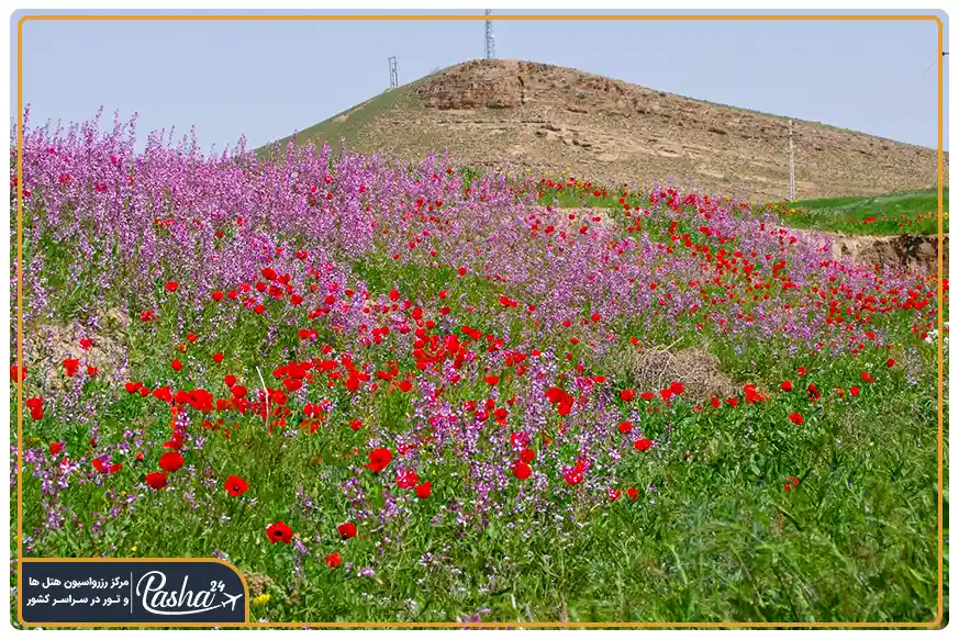 طبیعت دریاچه بزنگان