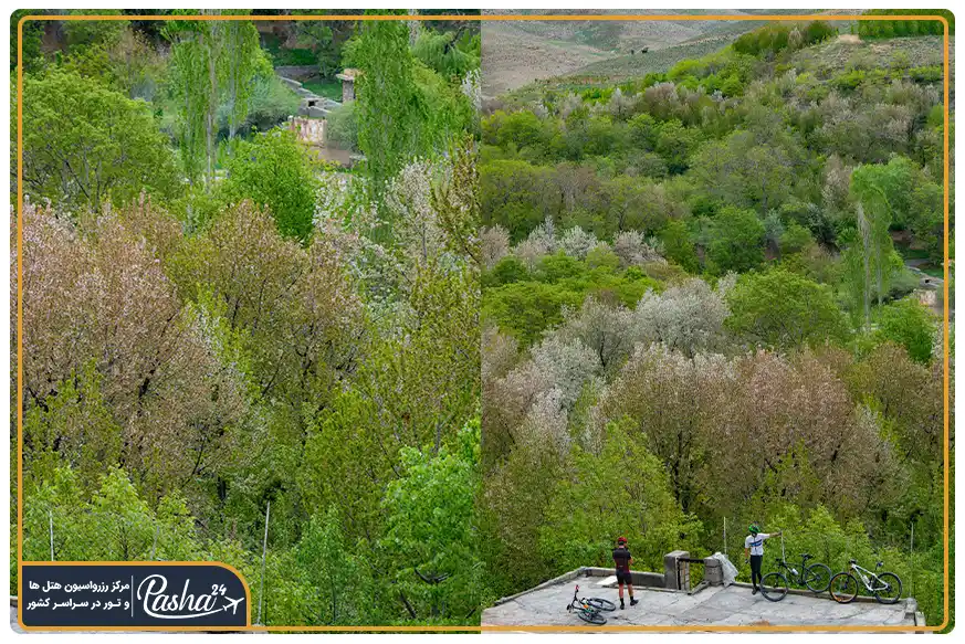 طبیعت دره آل