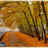پارک وکیل آباد مشهد ، آدرس و تصاویر