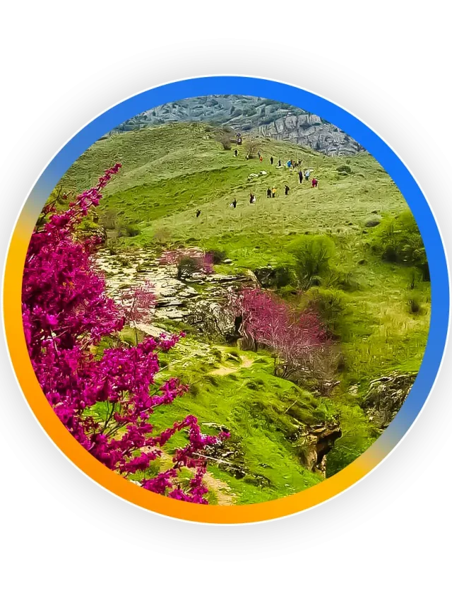 دره ارغوان مشهد